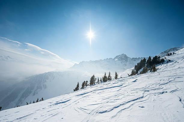 Hotel Les Alpes Аллевар Екстер'єр фото